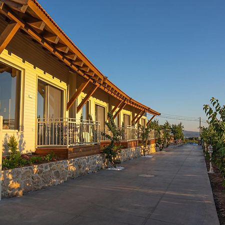 Hermon Star Majdal Shams Exterior photo